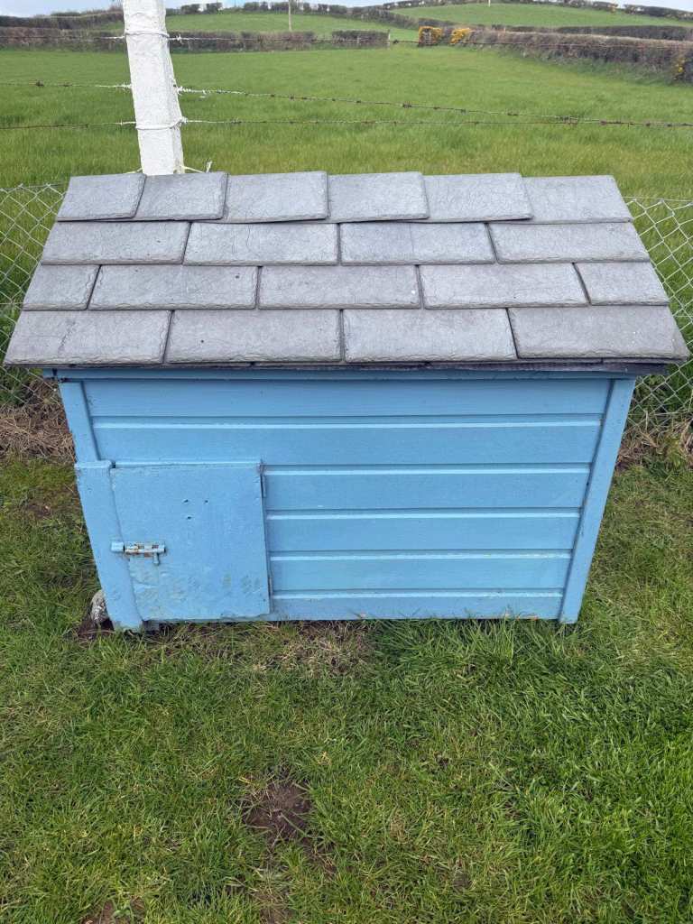 Insulated Dog Box for Sale 