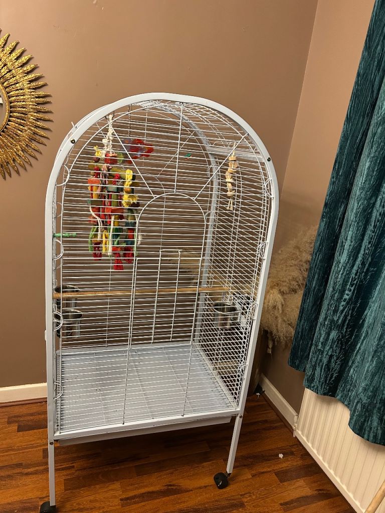 Parrot cage