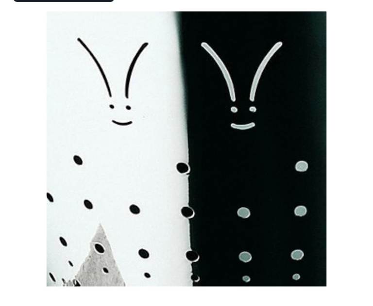 Philippe Starck design colander