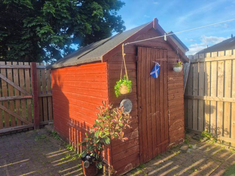 Shed 8x6
