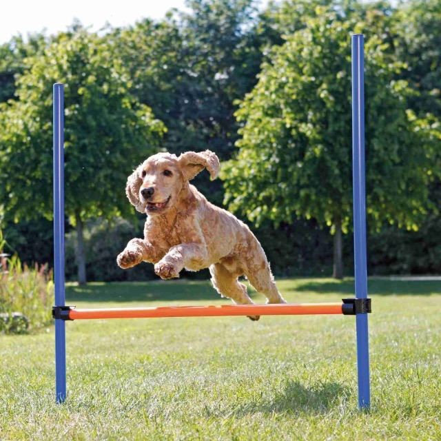 TRIXIE Dog Agility Equipment Set - Obstacle Training Course - 3 Piece set