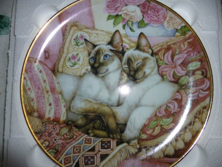 siamese cat plates