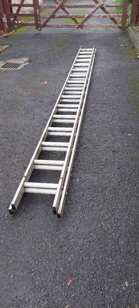 image for Ladders 