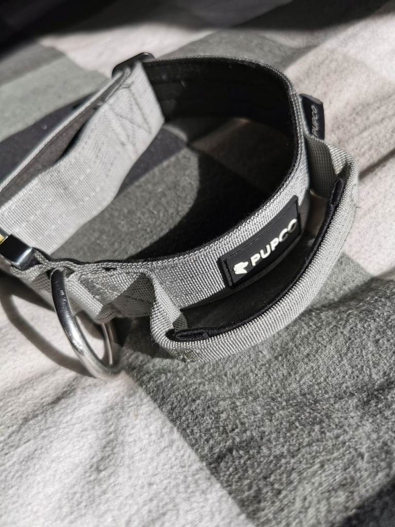 Tactical collar 