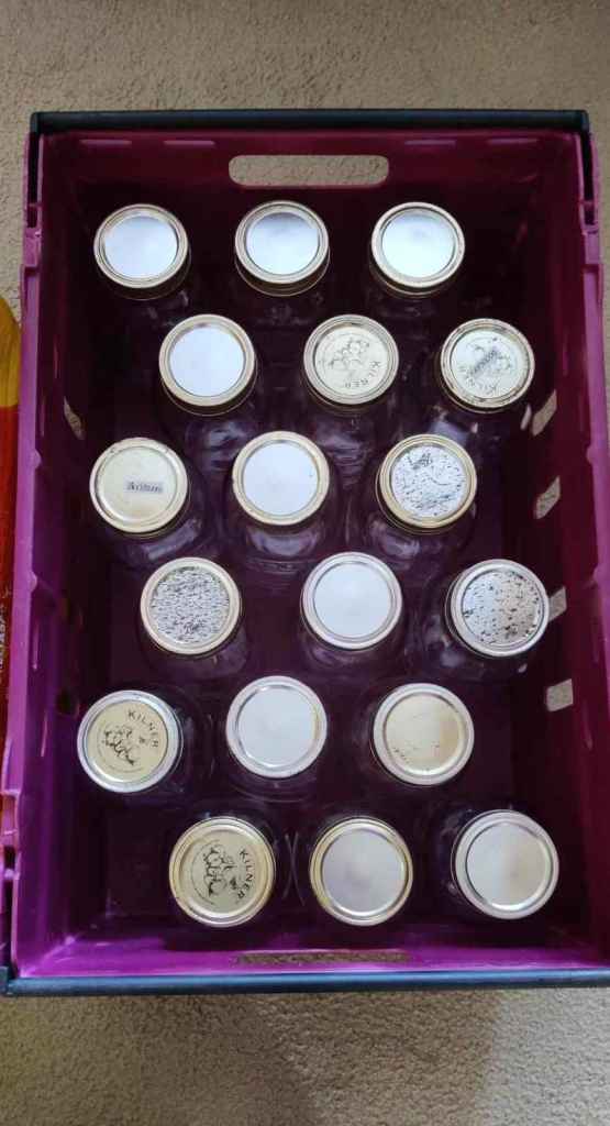 Kilner Mason Storage Jars