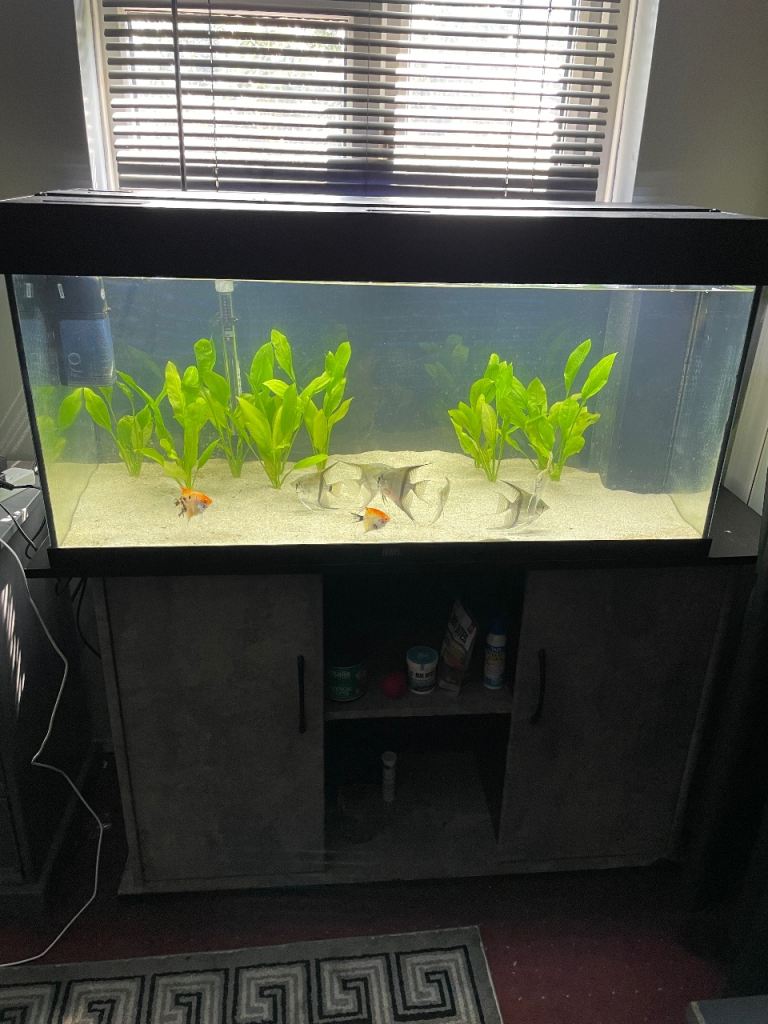 Jewel Rio 180 Aquarium Fish Tank & Cabinet