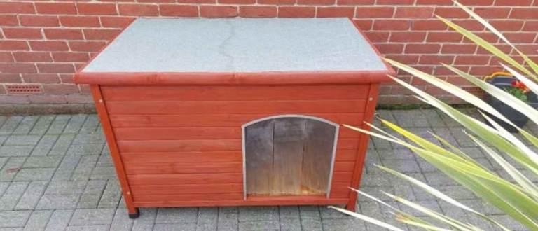 Dog kennel 