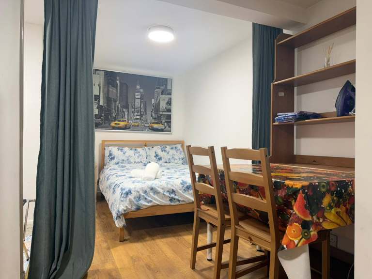 Spacious Studio Flat with Garden Access – DSS Considered