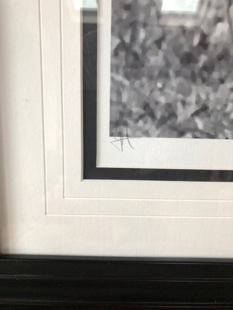 JJ Adams ‘Elvis’ limited edition print