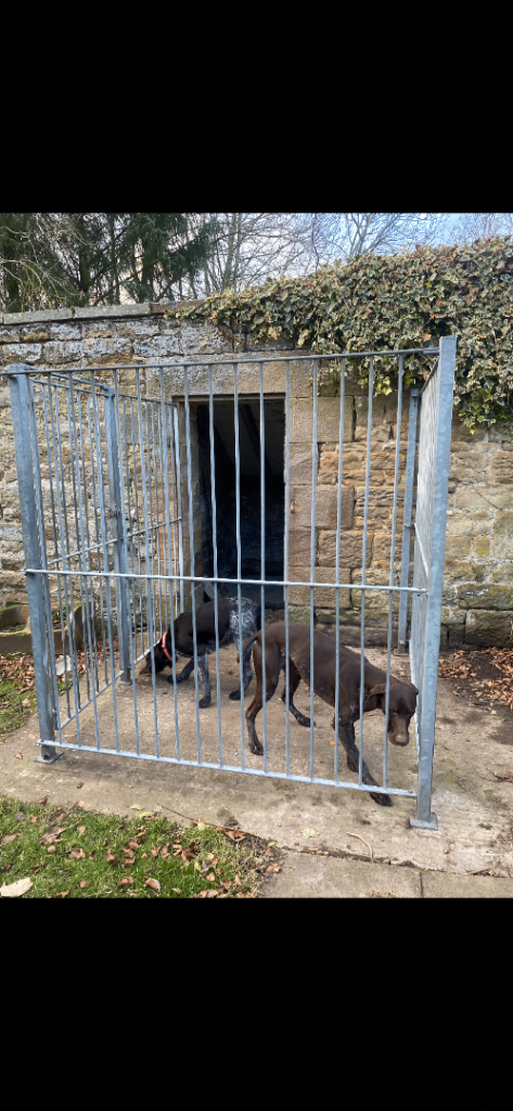 image for Galvanised Dog Run