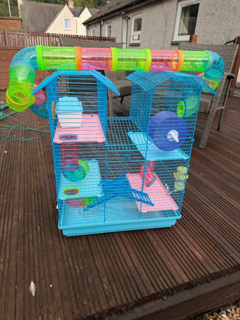 Hamster cage 