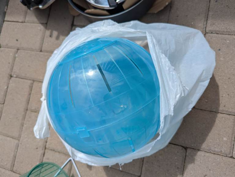 Hamster wheel and ball