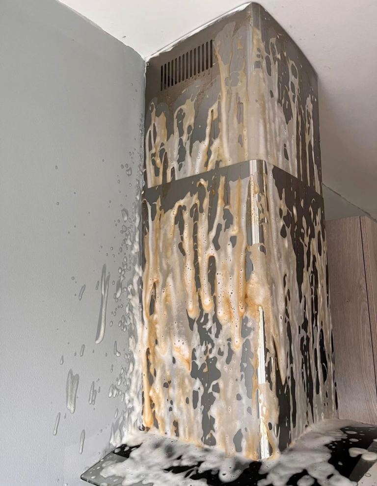 Cleaning service 