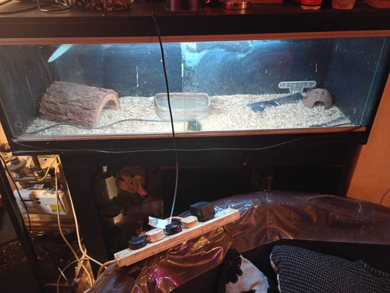 Snake/lizard/,tortoise Vivarium 