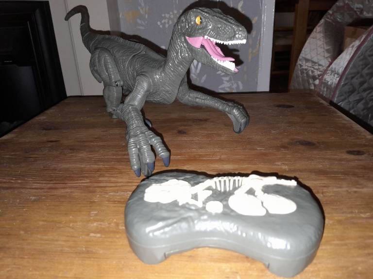 Radio Controlled Dinosaur Velociraptor