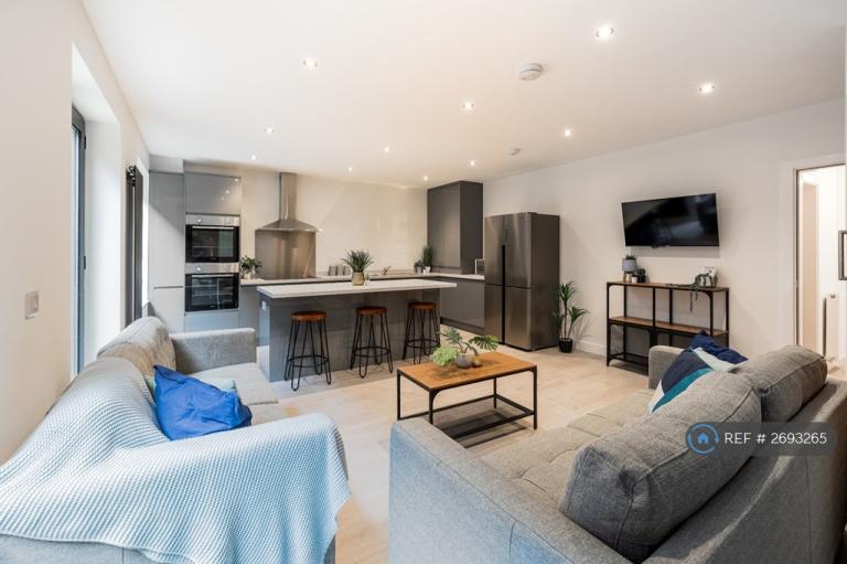 6 bedroom flat in Anglo Works, Sheffield, S1 (6 bed) (#2693265)