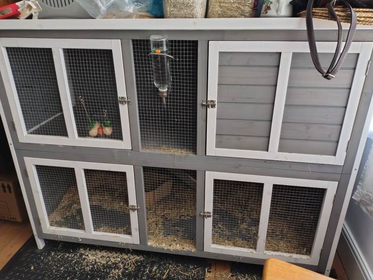 Rabbit Hutch