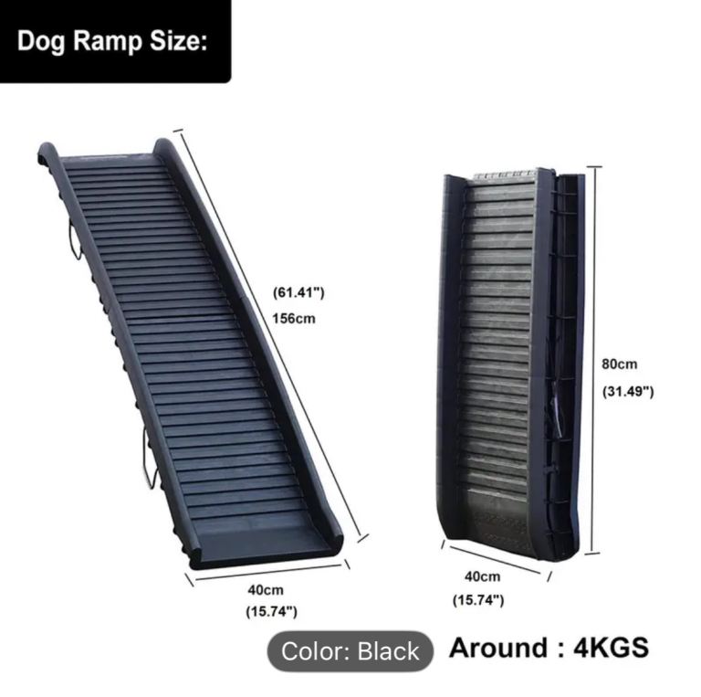 Dog ramp