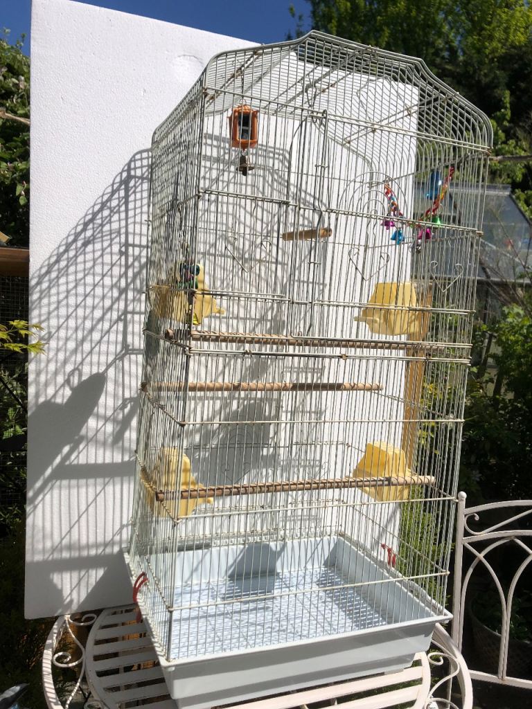 Tall, white birdcage 