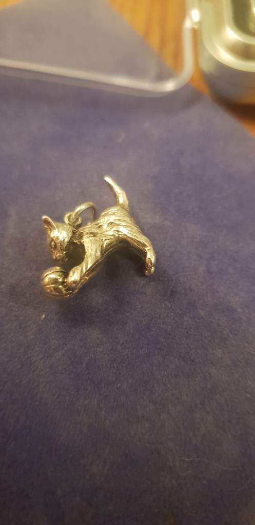 Silver charm cat 