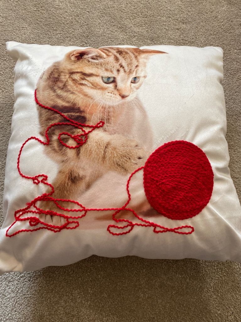 Cushion with cat design