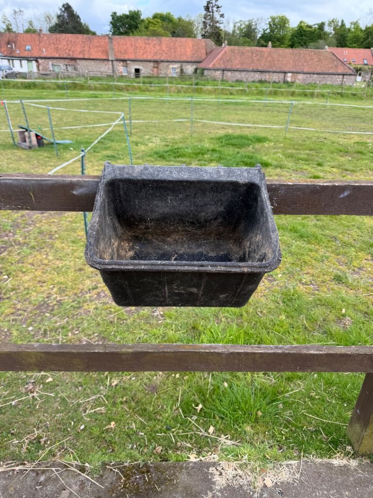 Horse Feeder / Bucket 