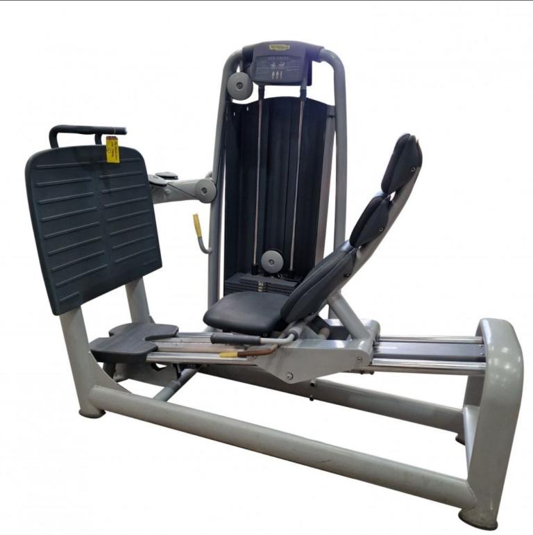 Technogym Selection Line Seater Leg Press Available for sale in excellent condition 