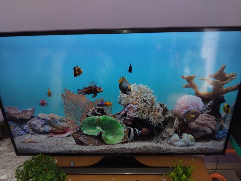 Samsung tv 48'