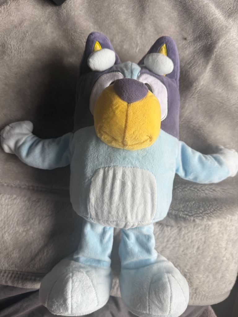 Dance And play Bluey