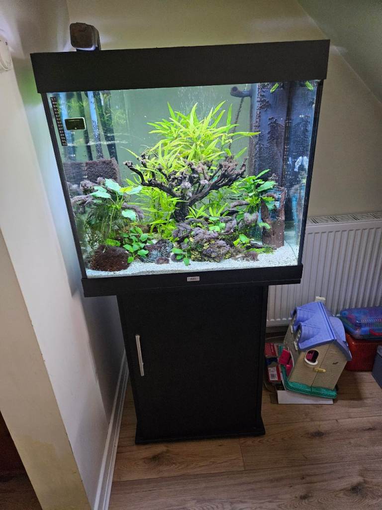 Jewel 200 ltr Fish Tank and Stand