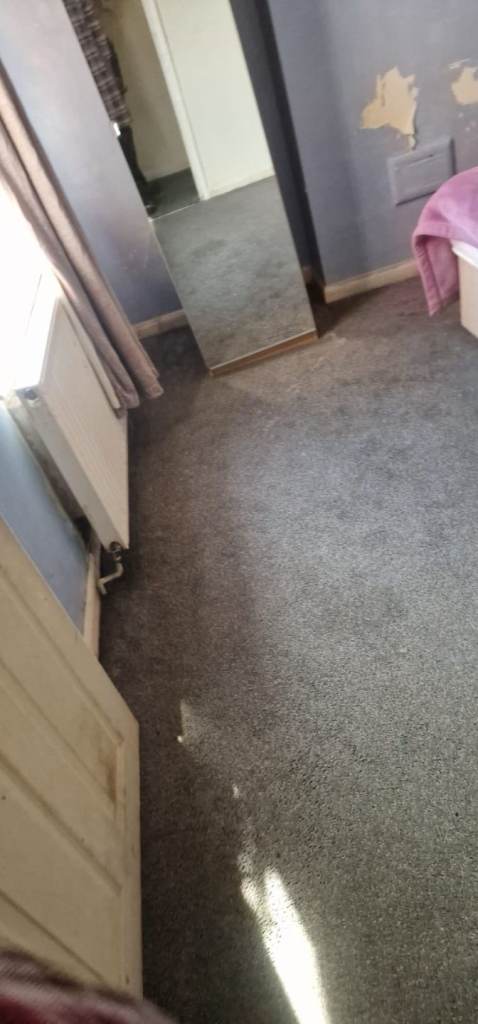 Room to Rent in a shared house 