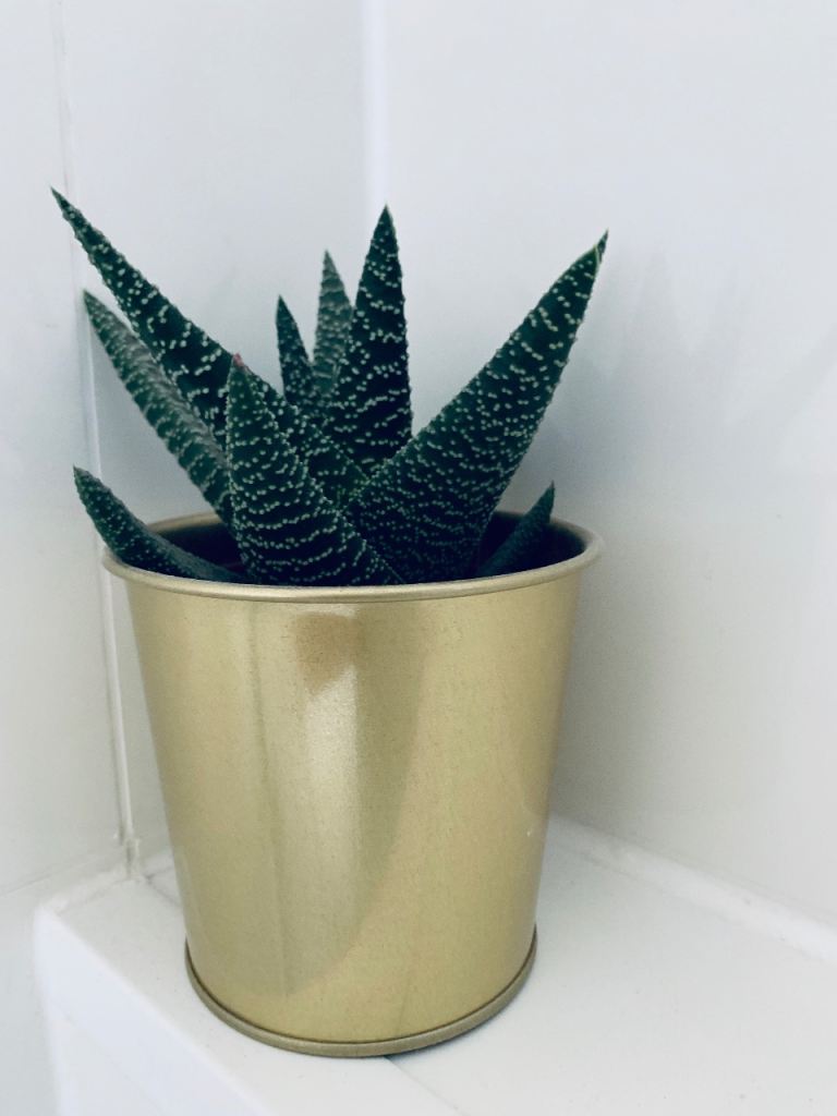  1Bedroom Apartment for a WEEKLY or MONTHLY rent at G5,5 min to city center.Wifi,Parking FREE