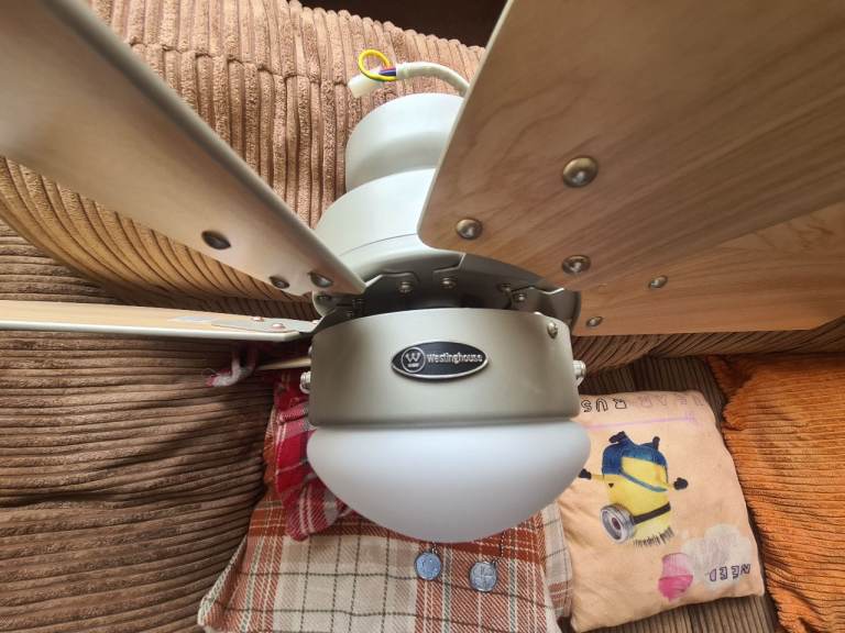 Westinghouse Ceiling fan with light.