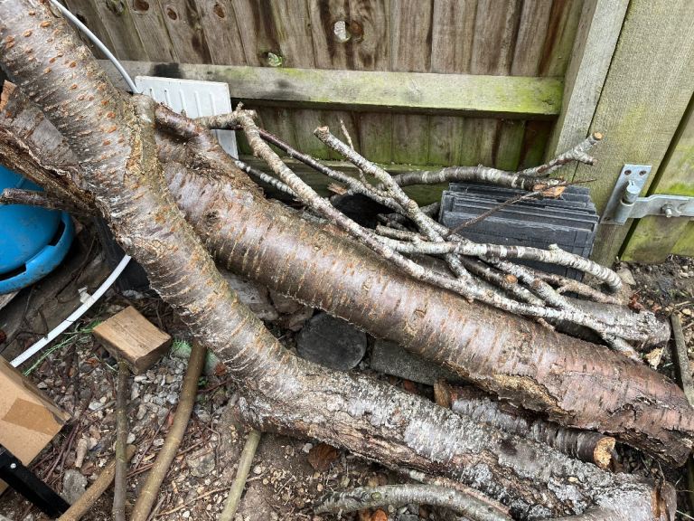 Assorted Cherry logs For Wood Turning
