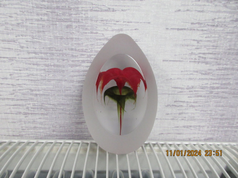 Glass Solid Ornament Hand Blown BRAND NEW