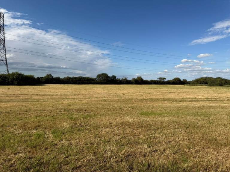 9 Acre Field