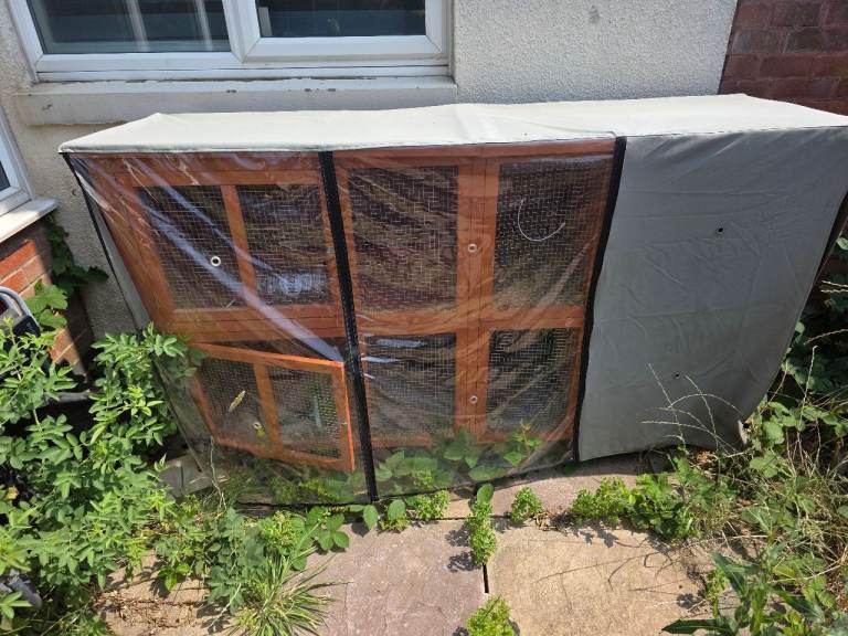 Rabbit hutch for sale