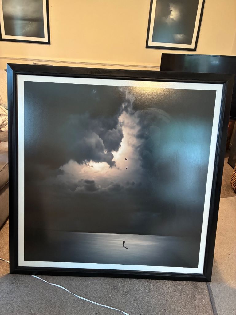 Large Framed Photograph "Alone"