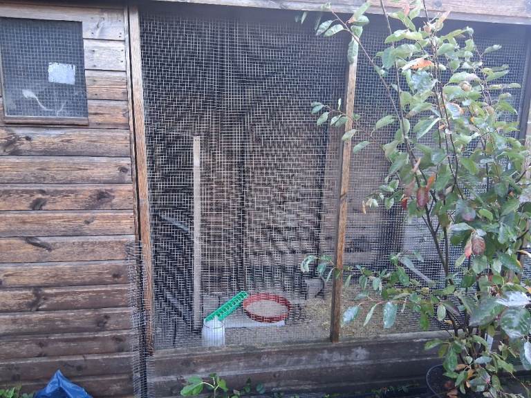Aviary 
