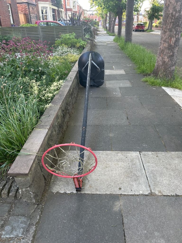 Netball post and net. Free. 