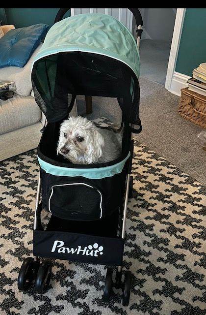 Dog Pram and Rain Cover PawHut