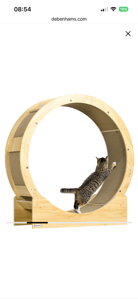 Cat Excercise Wheel/Scratcher