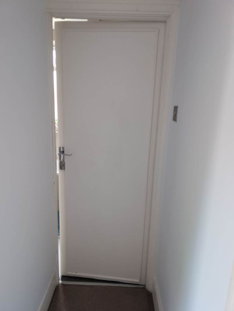 Internal door solid