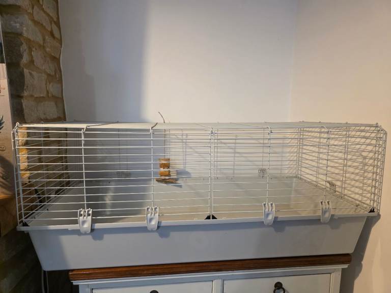 Large cage with accessories 