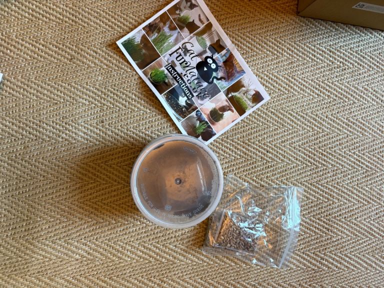 Cat grass growing kit 