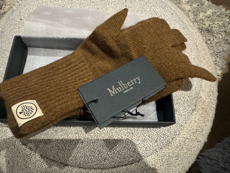 Mulberry cashmere gloves