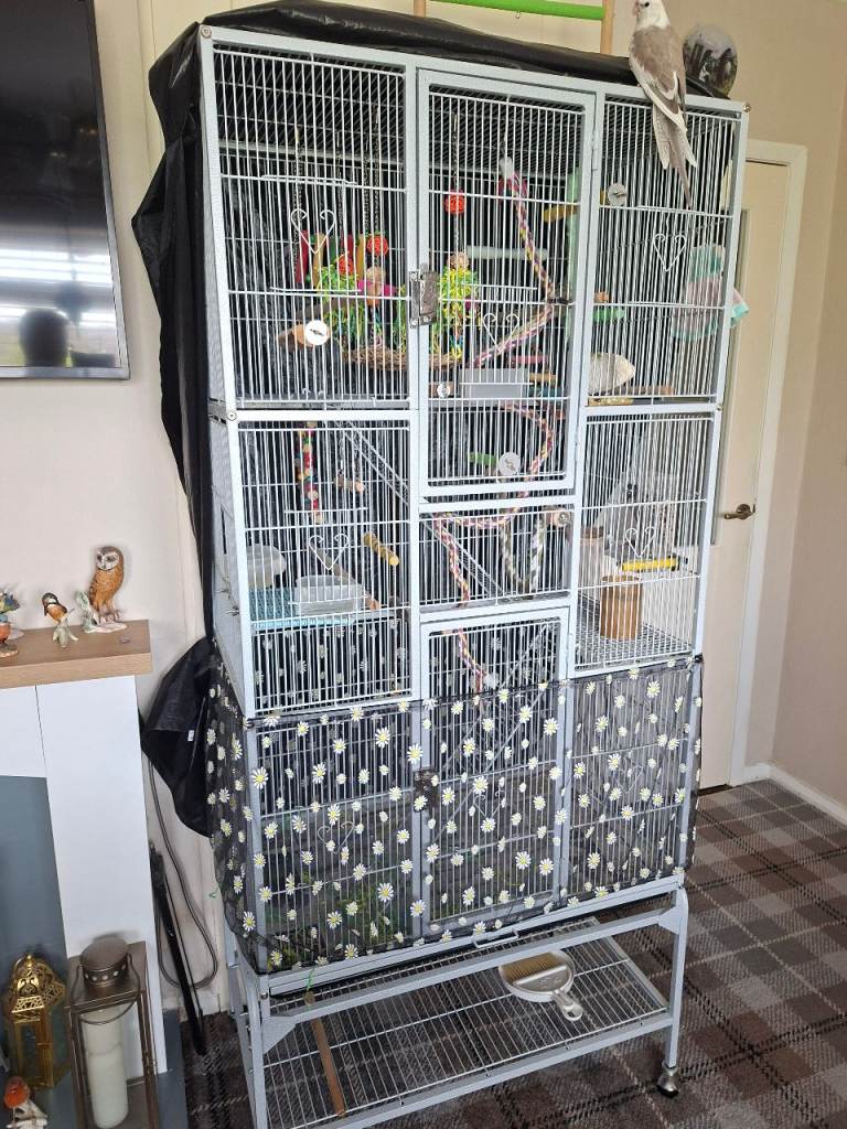 Bird cage