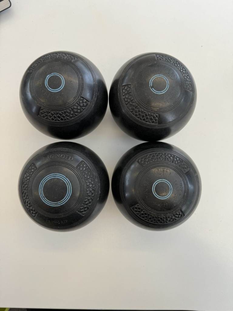 Vintage Thomas Taylor Size 5 Bowls Indoor Long & Short Matt Or Outdoor Blue Ring