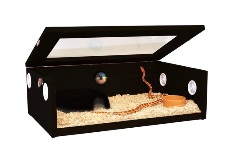 Hatchling snake terrainium / vivarium
