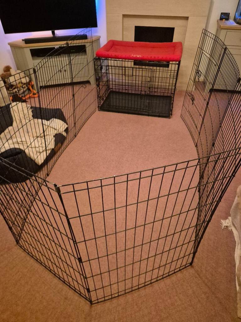 Large Kong Dog Crate and Pen